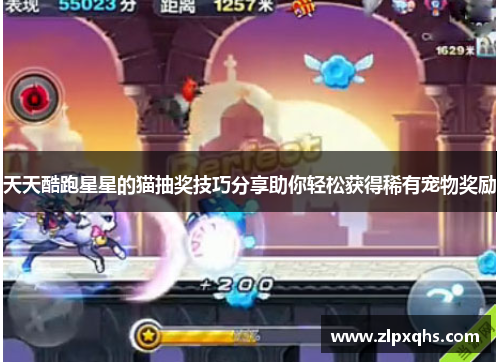 天天酷跑星星的猫抽奖技巧分享助你轻松获得稀有宠物奖励